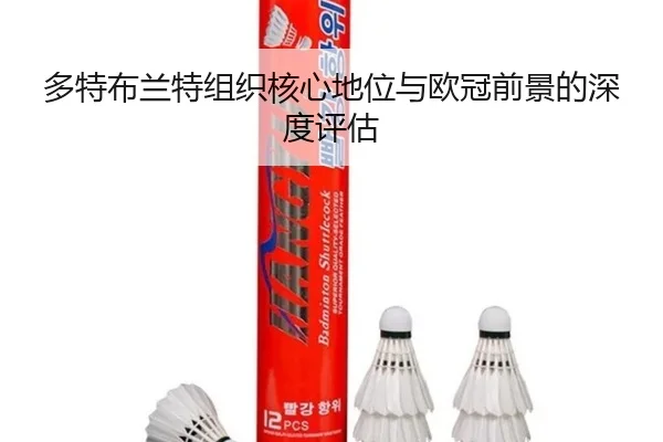 多特布兰特组织核心地位与欧冠前景的深度评估