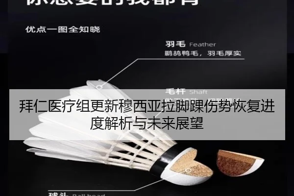 拜仁医疗组更新穆西亚拉脚踝伤势恢复进度解析与未来展望